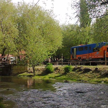 Camping Y Hostal El Ovejero เอลกาลาฟาเต ภายนอก รูปภาพ