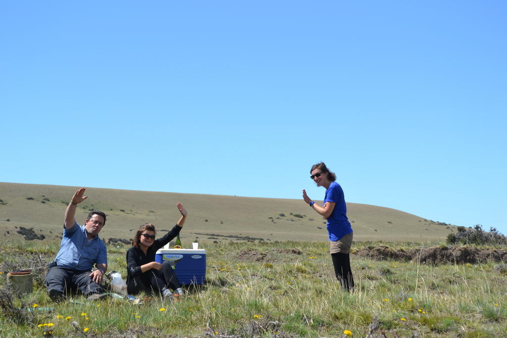 Camping Y Hostal El Ovejero เอลกาลาฟาเต ภายนอก รูปภาพ
