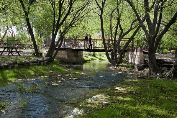 Camping Y Hostal El Ovejero เอลกาลาฟาเต ภายนอก รูปภาพ
